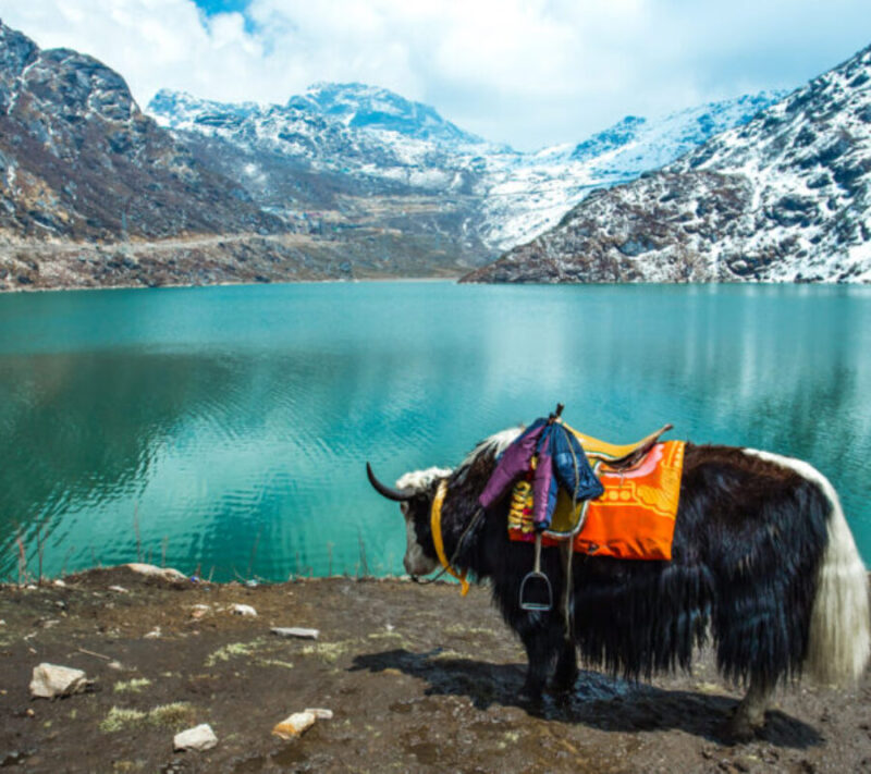 North Indian Himalayas