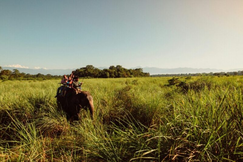 Jungle safari on Elephant back in Chitwan Park